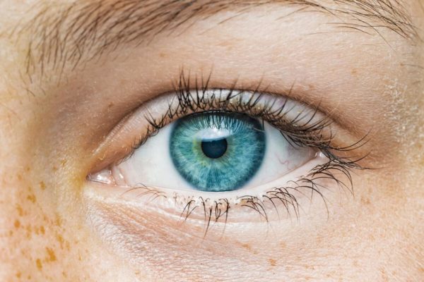Noreva_Categorie_Yeux_Header_1920x800